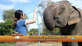 สปอตคุณค่าวิถีไทย (15 วินาที) ตอนที่10 วิถีช้างเมืองสุรินทร์_ คุณค่าวิถีไทยดินแดนอีสานใต้