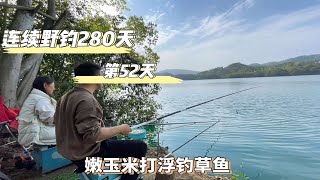 連續野釣280天 第52天 改變方法嫩玉米打浮釣草魚