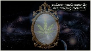 මහ වන මැද තනි වී | Maha Wana meda Thani wee