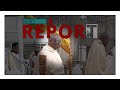 Catholic — News Report — Rapist Priest Back on the Job