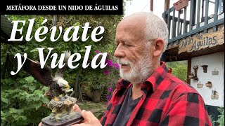 Elévate y vuela-Reflexión desde un Nido de águilas