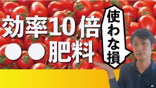 セルフで団粒構造を調べる方法【農業を上げる】