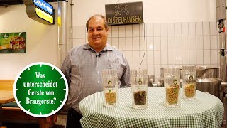 Was unterscheidet Gerste von Braugerste? | 1 Minute Bier mit Distelhäuser