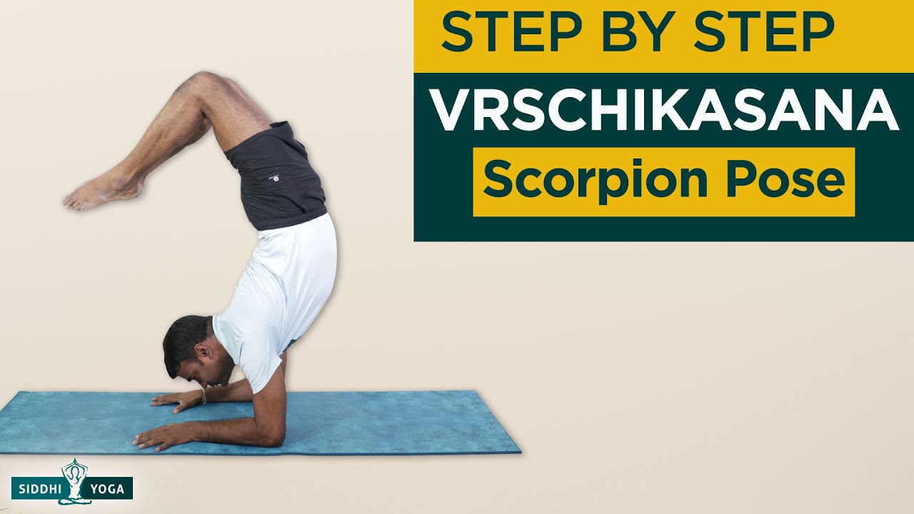 Vrschikasana (Scorpion Pose) Benefits, Contraindications, How To Do By ...