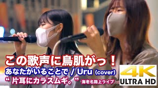 【4K】この歌声に鳥肌がっ！人気上昇中の2人組です！　あなたがいることで / Uru（cover）