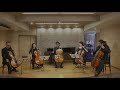 pachelbel–canon for five cellos cello quintet