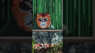 With our augmented reality you’ll be able to share and discover Snubs wherever you go!