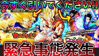 【ドッカンバトル】今すぐフェス引け！！！急げ！！！！【Dokkan Battle】