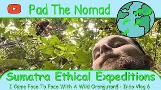 Face to Face with a WILD Orangutan! Sumatra Ethical Expeditions (Indo Vlog #7)