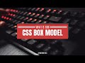 CSS Box Model Explained: Master Margins, Padding, and Borders Easily!