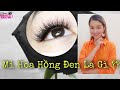 DỤNG CỤ NỐI MI | HIỂU RÕ HƠN MI HOA HỒNG ĐEN LÀ GÌ ?