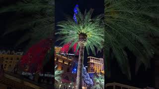 The Las Vegas Strip#lasvegas #EiffelTower#palmtrees  #Bellagio#casinos#funinvegas  #VegasLights#sia