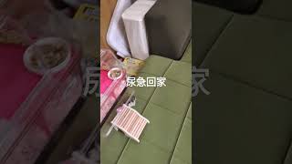 衝啊..要漏尿啦🤣