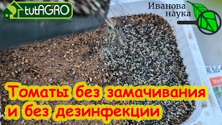 ПОСЕВ ТОМАТА НА РАССАДУ: без замочек и заморочек. СЕЙТЕ ТОМАТЫ ТОЛЬКО ТАК - РАССАДА ОЧЕНЬ КРЕПКАЯ.