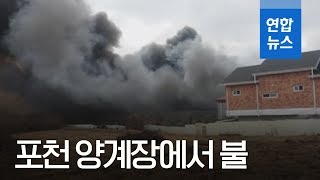 [제보] 포천 양계장에서 불…닭 5만 마리 폐사 / 연합뉴스 (Yonhapnews)