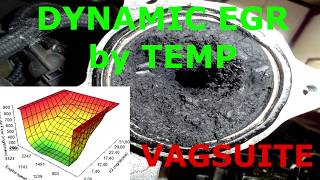 DYNAMIC EGR / DYNAMICZNY EGR by TEMP VAGSuite EDC15