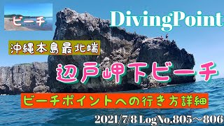 沖縄本島最北端の「辺戸岬下ビーチ」でセルフビーチダイビング😃