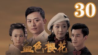 【大結局】血色櫻花 第30集（黃海冰、喬振宇、李曼、穆婷婷等主演）