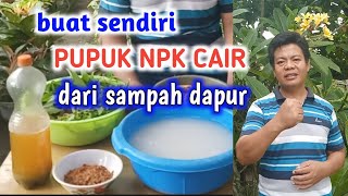 Cara Mengolah Sampah Dapur Jadi Pupuk NPK Cair