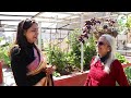 organic kitchen garden में खेत बराबर सब्ज़ियाँ 🥦🥒 no chemical only kitchen waste