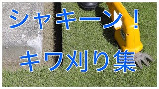 芝生のキワ刈り集  電動芝生バリカンを使ってキワ刈りしまくりました 芝生庭のＤＩＹ