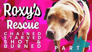 Chained, Starved, Shot \u0026 Burned | Roxy's Rescue Story: Part 1 (tap CC for subtitles)