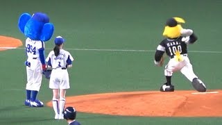 2018.06.09 ハリーホークの投球