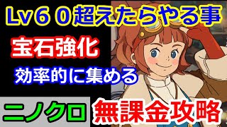 【ニノクロ】「Lv６０超えたら」無課金が絶対にやる事！宝石を効率的に集めていく方法＆強化について【二ノ国：Cross Worlds】