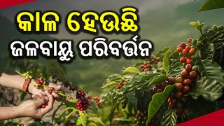 କାଳ ହେଉଛି ଜଳବାୟୁ ପରିବର୍ତ୍ତନ