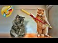 You Laugh You Lose😻🐶Funniest Dogs and Cats 2024😻🐈