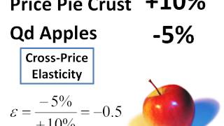 Cross-Price Elasticity