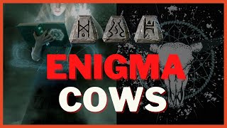 Enigma Cows - Unbelievable RNG! 200 Cow Runs - Diablo 2 Resurrected