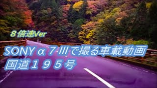 フルサイズミラーレス　sony a7iiiで撮る車載動画　国道１９５号　全線走破　８倍速　高知県高知市～徳島県徳島市