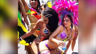 Charly Black feat. Samantha J - Party Animal (Remix)