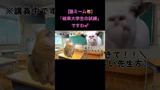 【猫ミーム】「岐阜大学生の試練」ですわ💕 #猫ミーム #猫ミーム日常  #catmemes #shorts