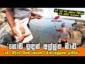 GRANDPA CATCHING FISH IN FISHING ROD | LAND BASED FISHING IN SRI LANKA
