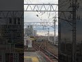 【京急 新1000形電車】イエローハッピートレイン（keikyu yellow happy train）京成電鉄・青砥駅にて撮影（東京都葛飾区）出会えたら幸せになれる⁉京浜急行電鉄の黄色い車体