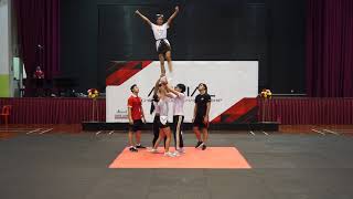 20181111 AERIAL CHEERLEADING CHAMPIONSHIP - GROUP STUNT LEVEL 4 - DROPOUT 2 CHEER