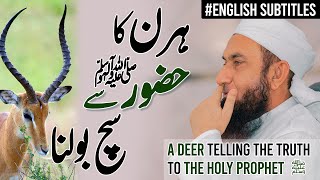 A deer telling the truth to the Holy Prophet | Molana Tariq Jamil | Latest Clip