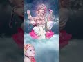 Sukhkarta Dukhharta : Ganpati Aarti : Ganesh Chaturthi Status