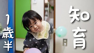 1歳6ヶ月の頭脳…あなどれない…【どこで覚えたの？？】