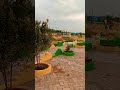 aunli food park nabarangpur beuatifulpark foodpark