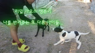 ep 41 리얼 라오스 생존기(나를 반겨주는 또 다른 아이들)