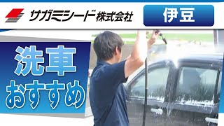 伊豆で洗車がおすすめのサガミシード