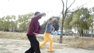 Liang style baguazhang - 64 linear palms