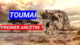 TOUMAI IS OUR FIRST ANCESTOR # 1