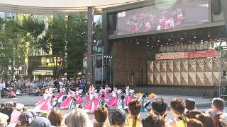 GARAN43/35°@東京よさこい2023 前夜祭(西口公園)[GH5Ⅱ]