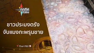 ชาวประมงตรังจับแมงกะพรุนขาย : ทุกทิศทั่วไทย (29 เม.ย. 64)