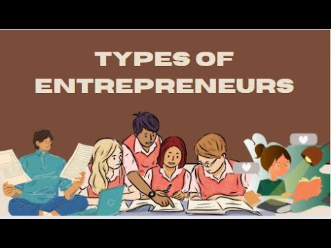 What are the 3 types of entrepreneurs?