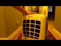 ebac 3650e dehumidifier review